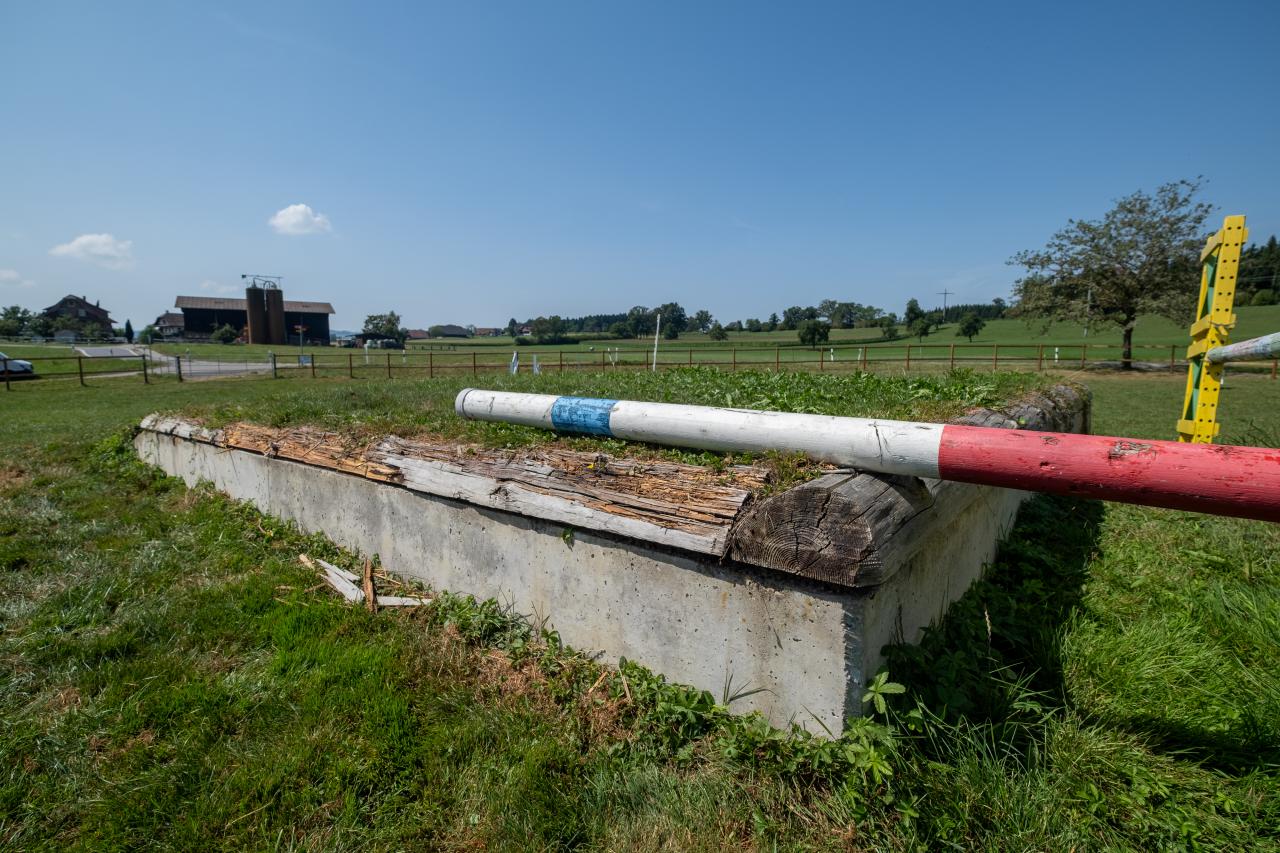 dalue-restaurieren-2