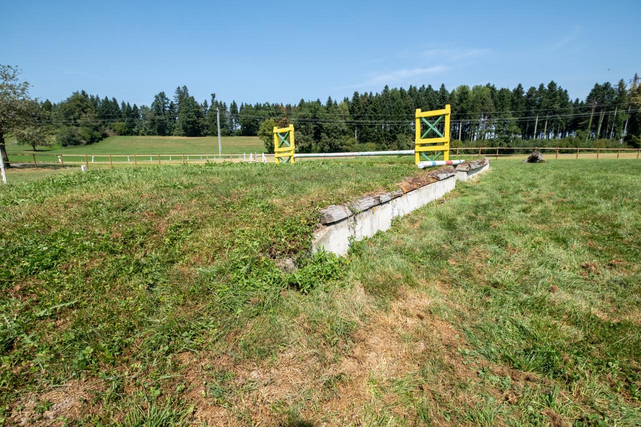 dalue-restaurieren-3