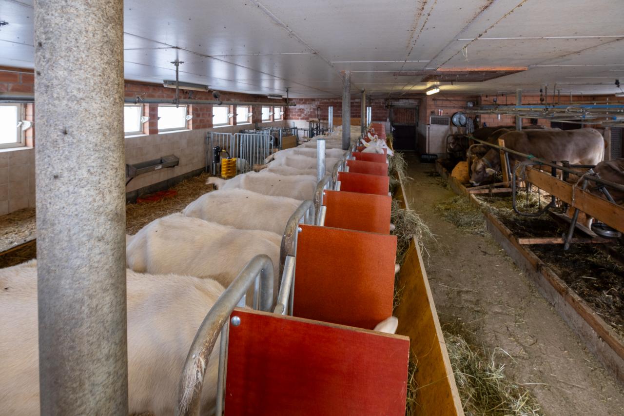 referenz-ziegenstall-hasliberg-2