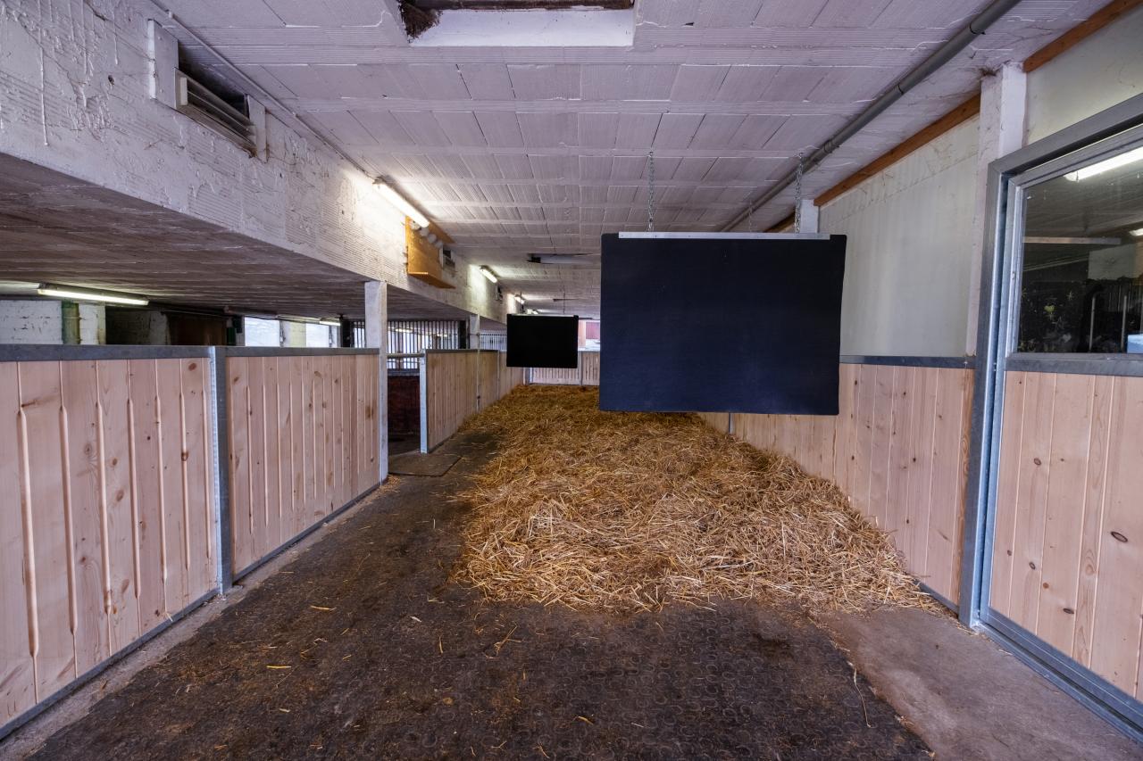 mattenberger-referenz-umbau-6