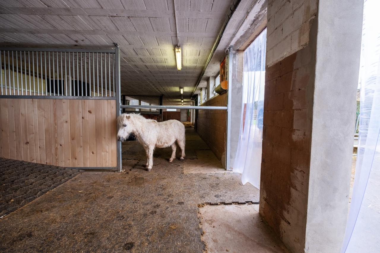 Mattenberger-Referenz-Umbau-5