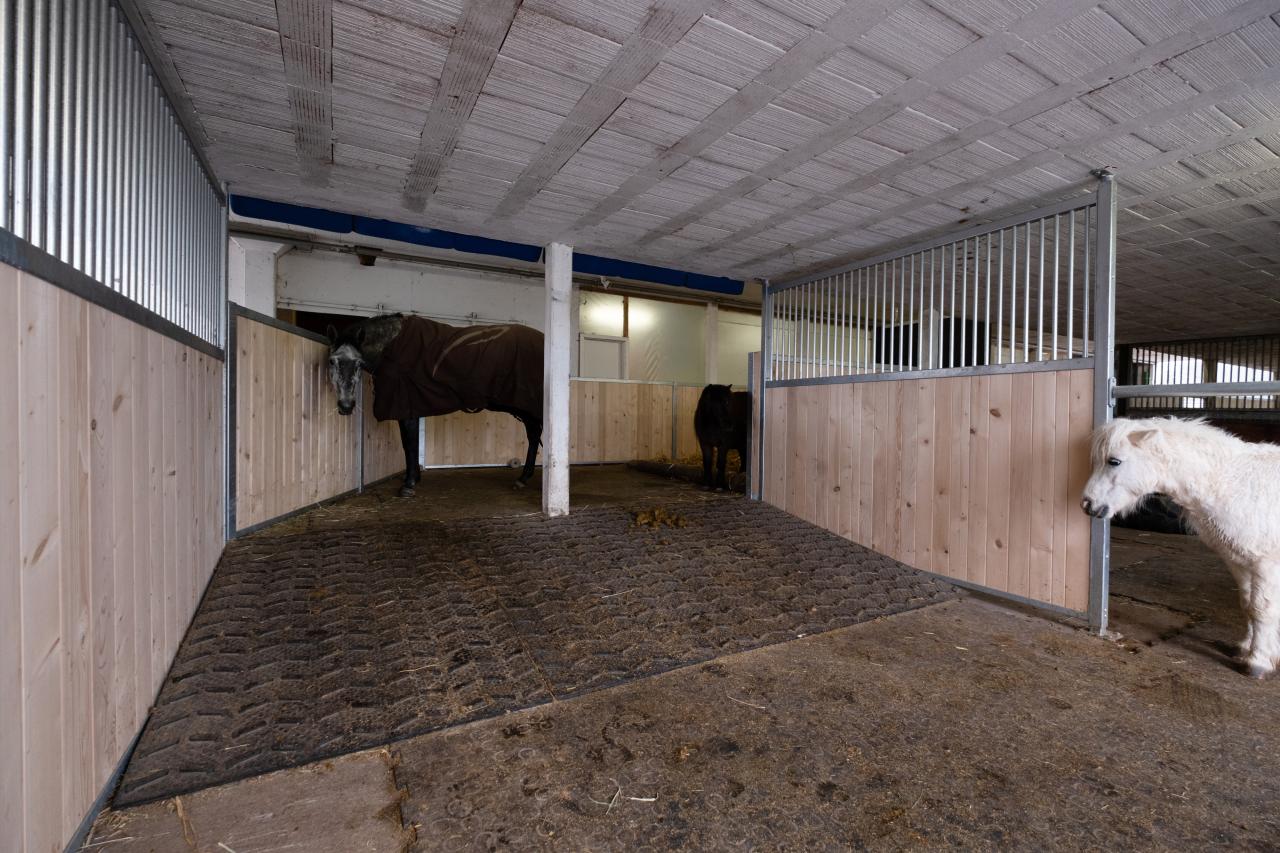 Mattenberger-Referenz-Umbau-3