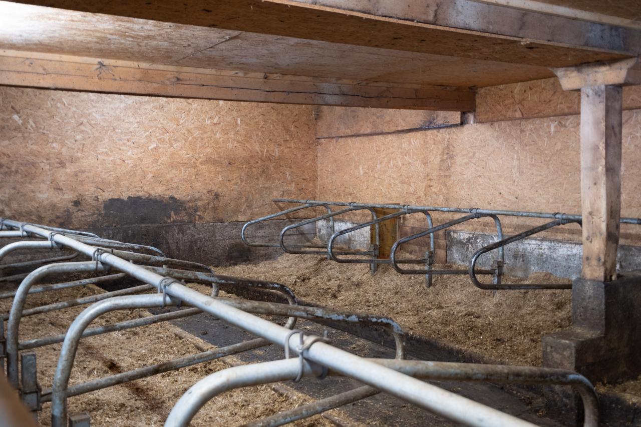 reto-luppi-referenz-bm-2