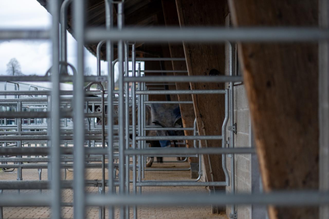 Stallmodernisierung-referenz-zuercher-10