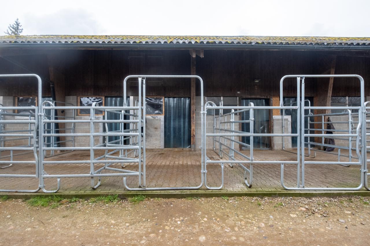 Stallmodernisierung-referenz-zuercher-2