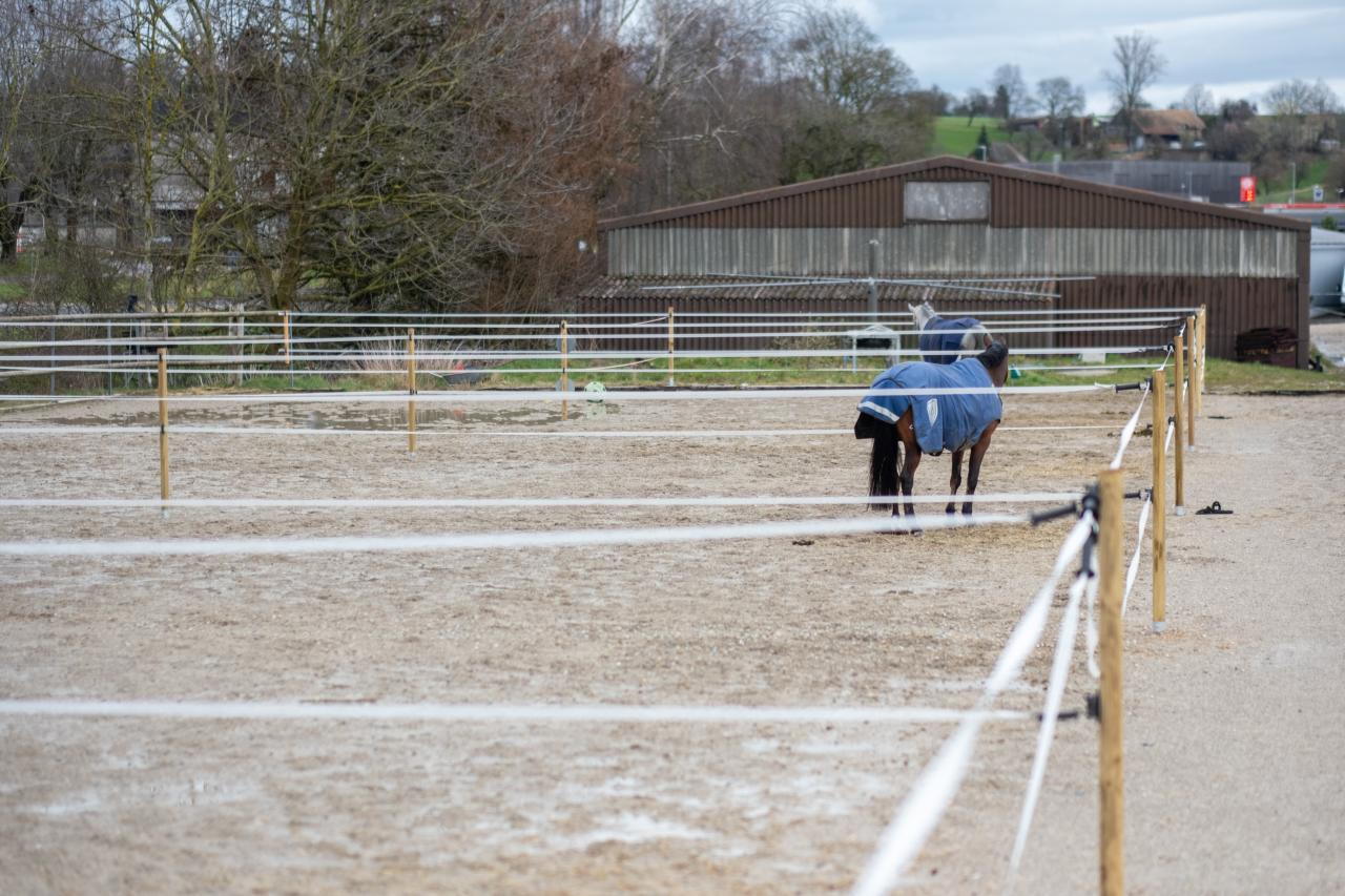 Stallmodernisierung-referenz-zuercher-9