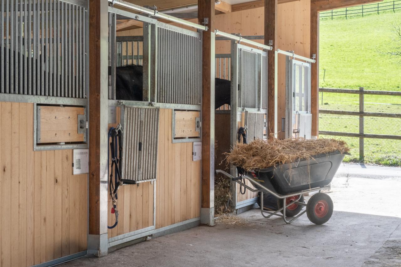 referenz-clemes-krienbuehl-12