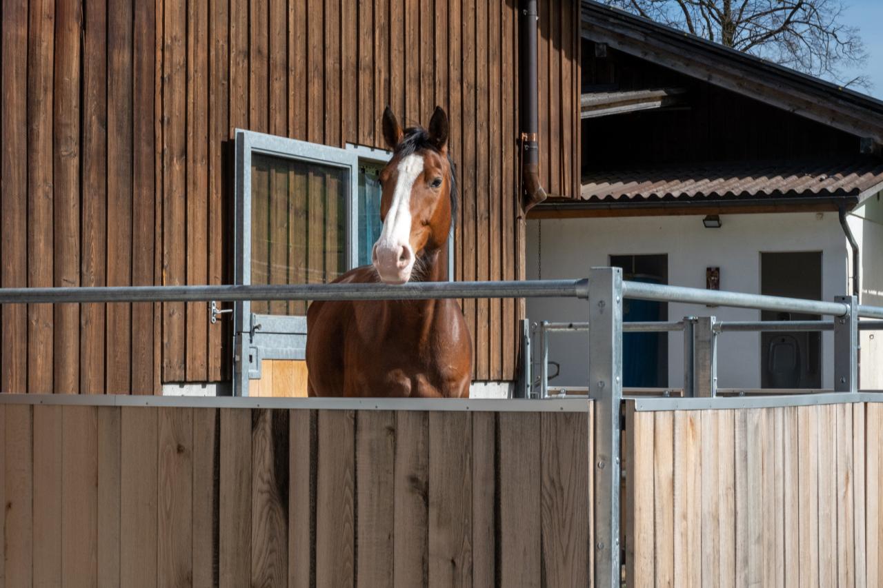 referenz-clemes-krienbuehl-15