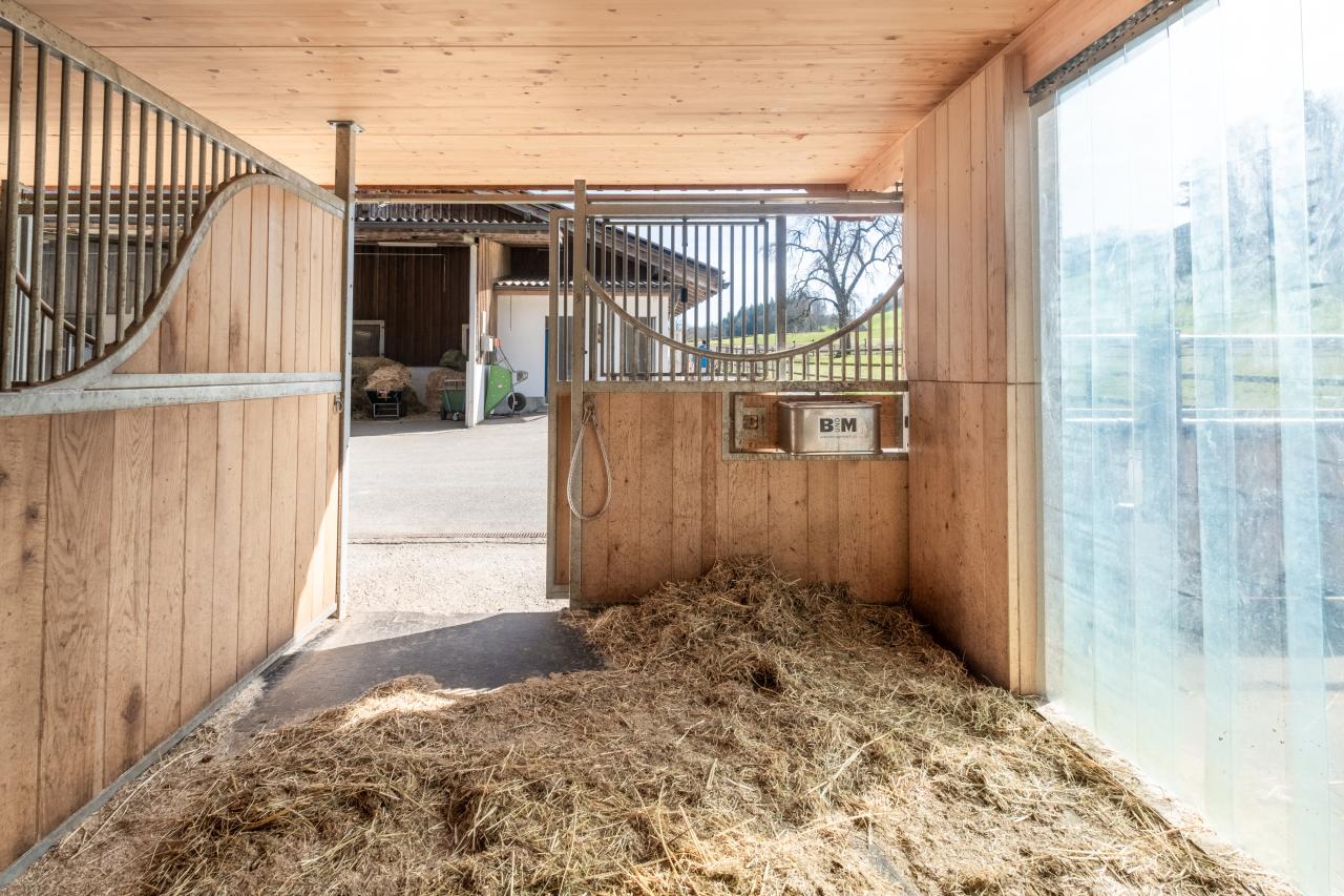 referenz-clemes-krienbuehl-5