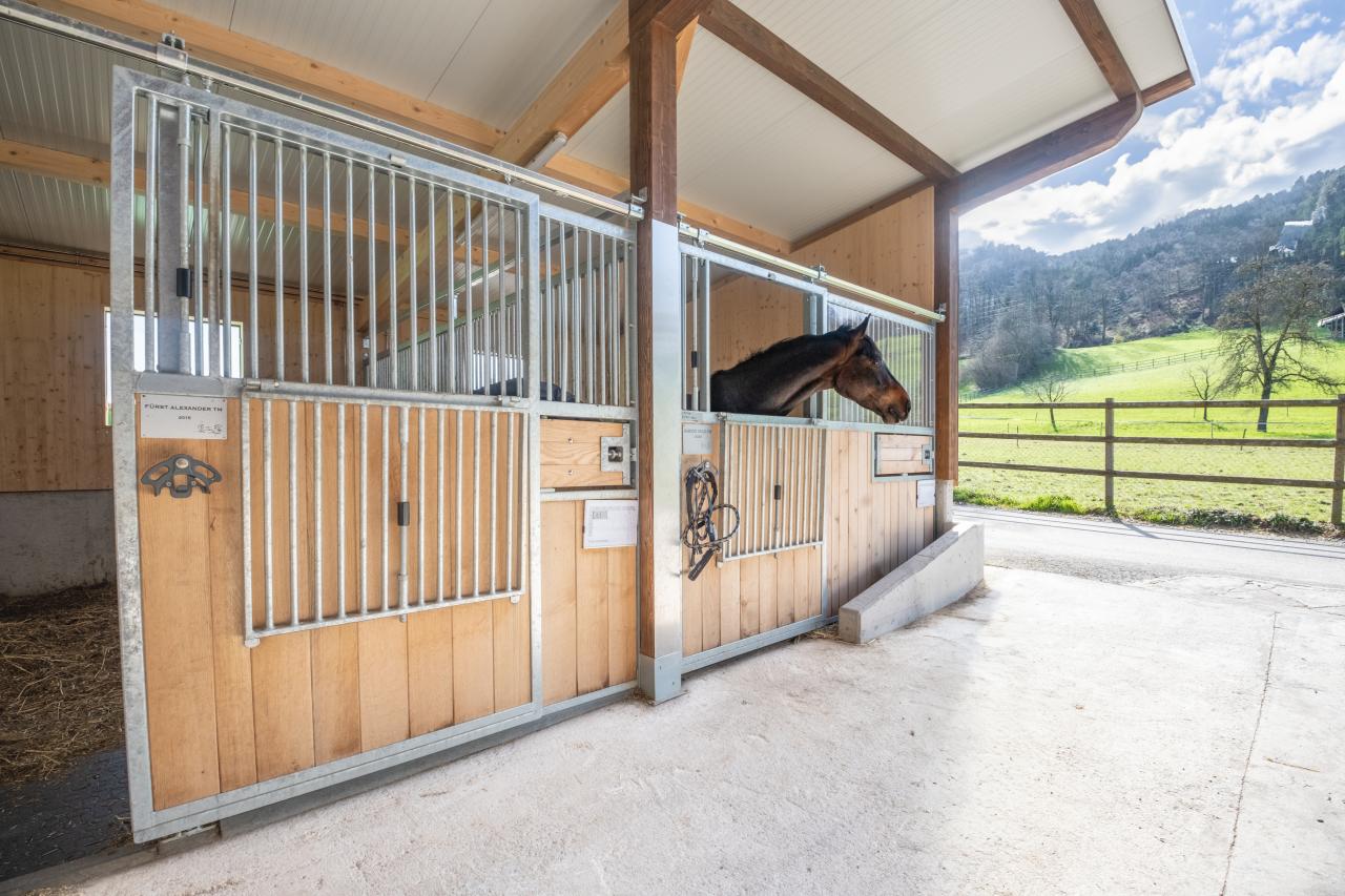 referenz-clemes-krienbuehl-6