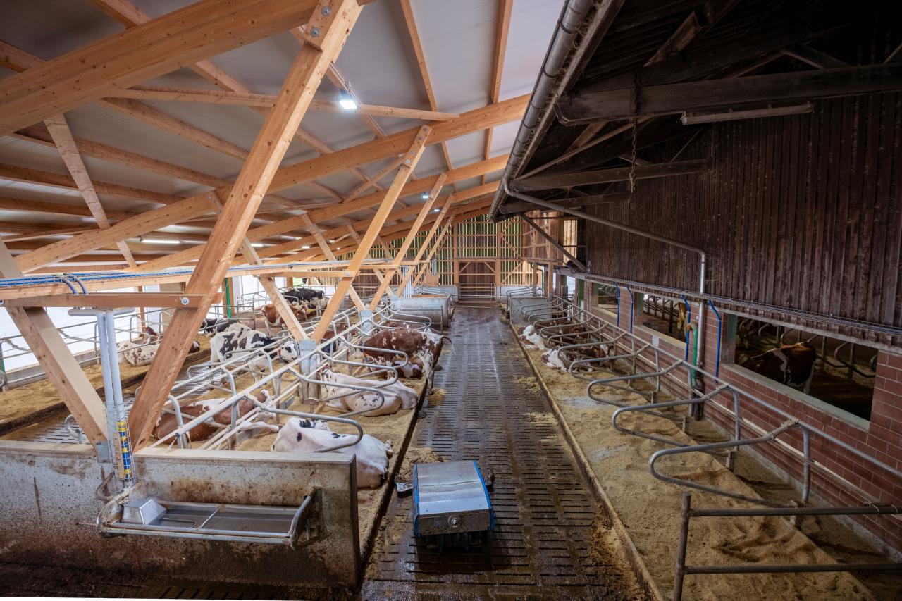 referenz-saemi-hochstrasser-1