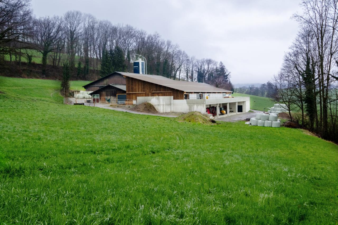 referenz-saemi-hochstrasser-15