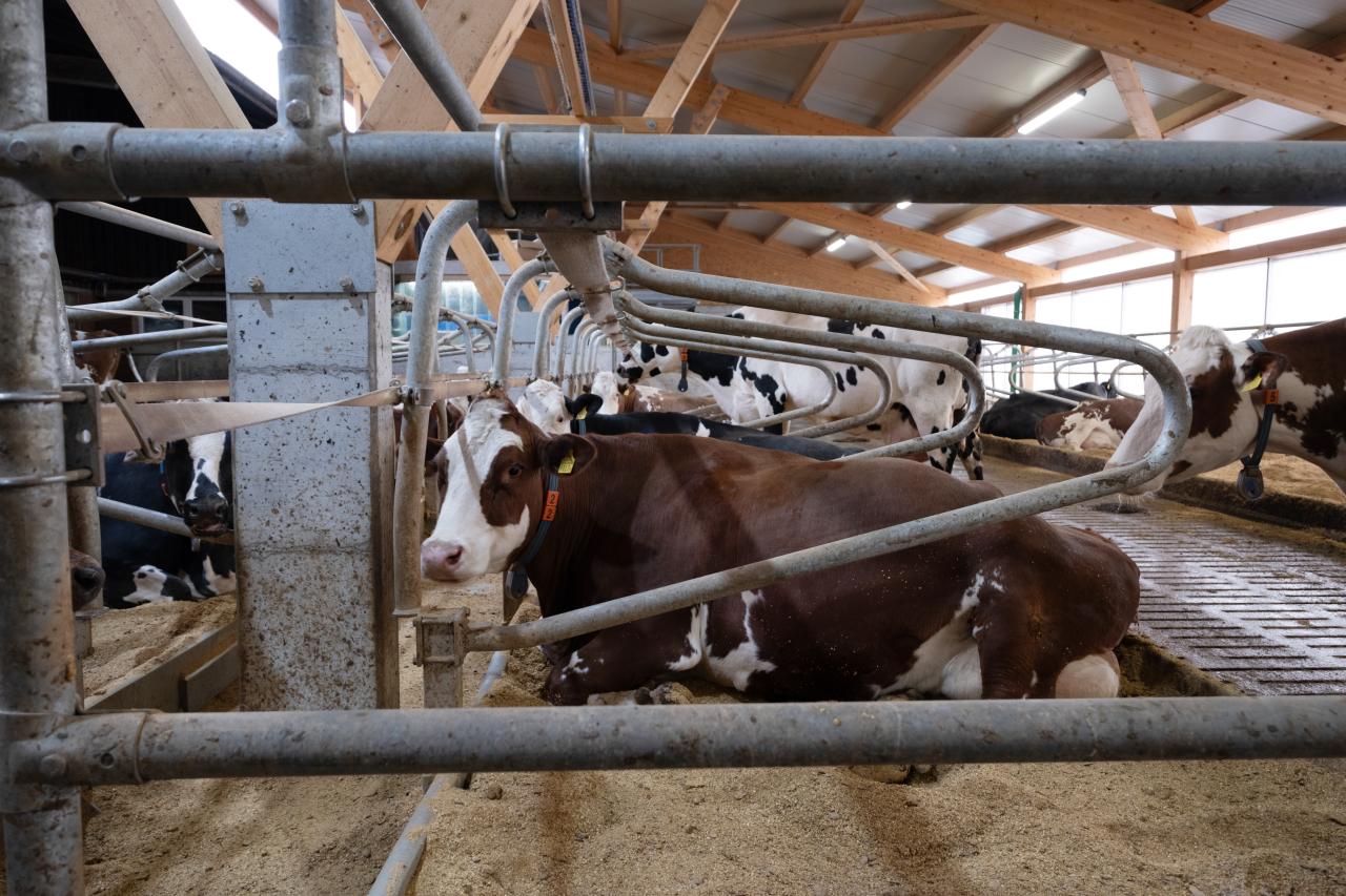 referenz-saemi-hochstrasser-3