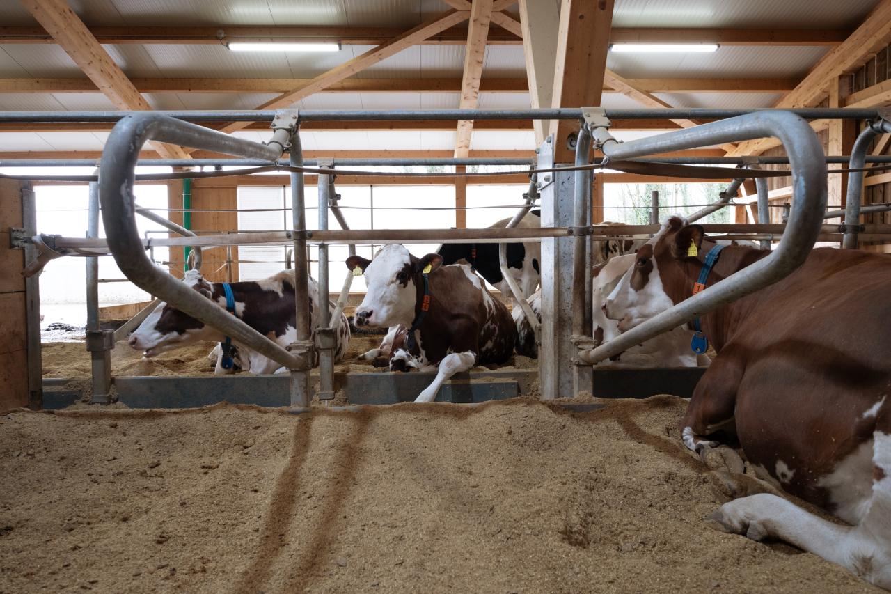 referenz-saemi-hochstrasser-4