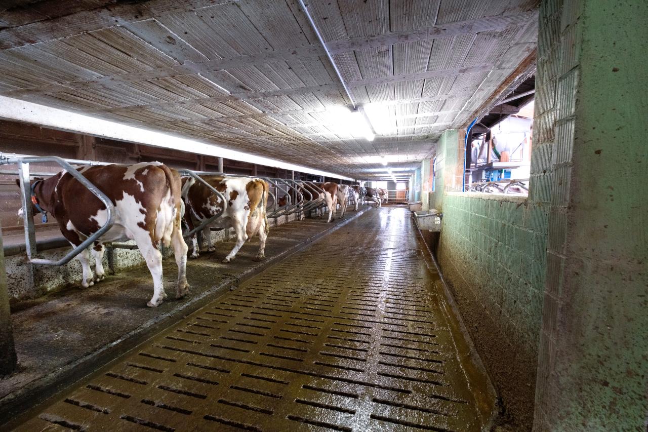 referenz-saemi-hochstrasser-5