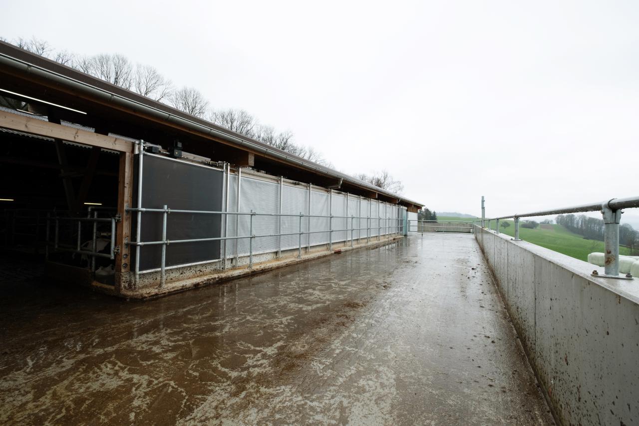 referenz-saemi-hochstrasser-6