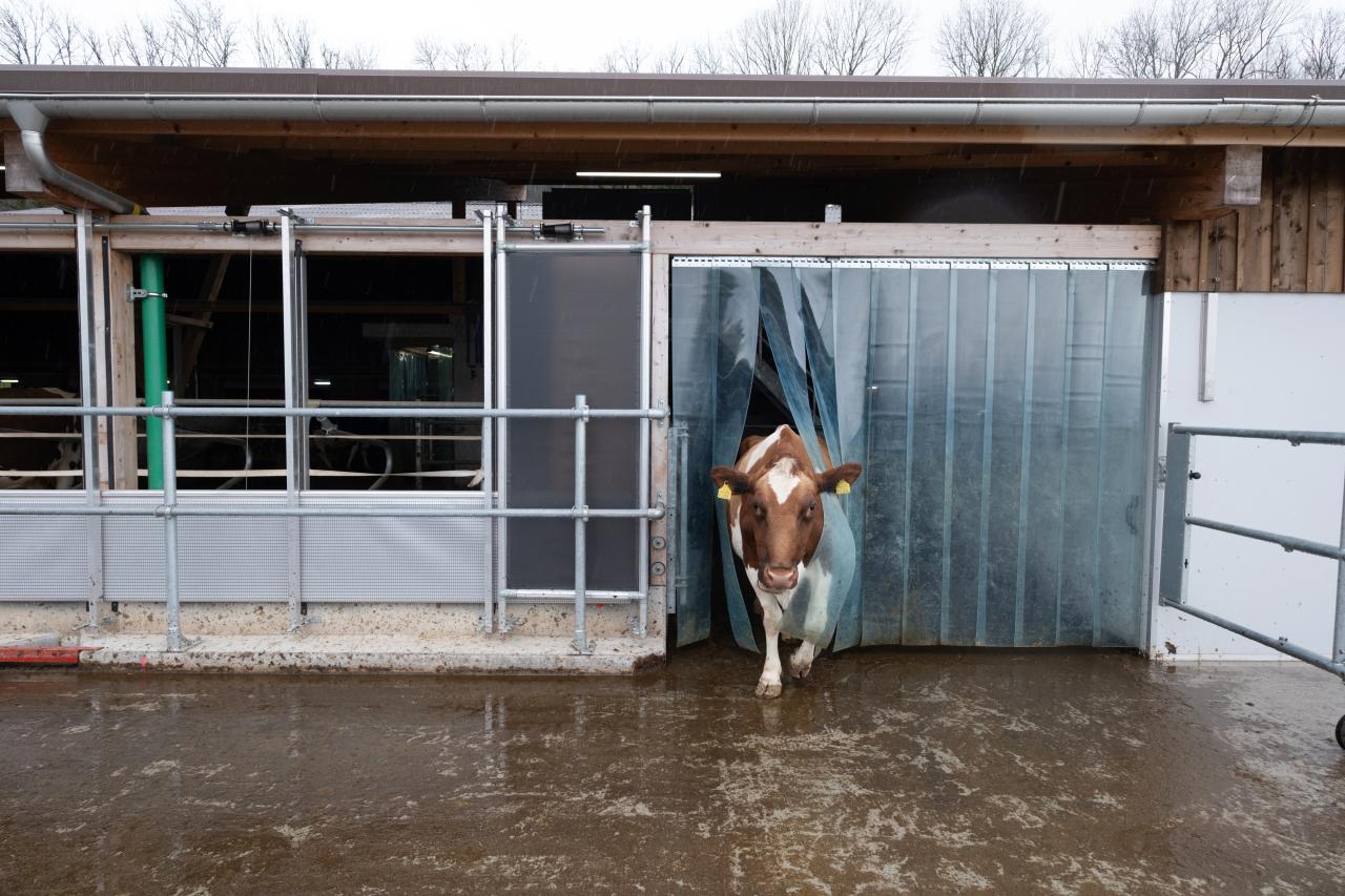 referenz-saemi-hochstrasser-7