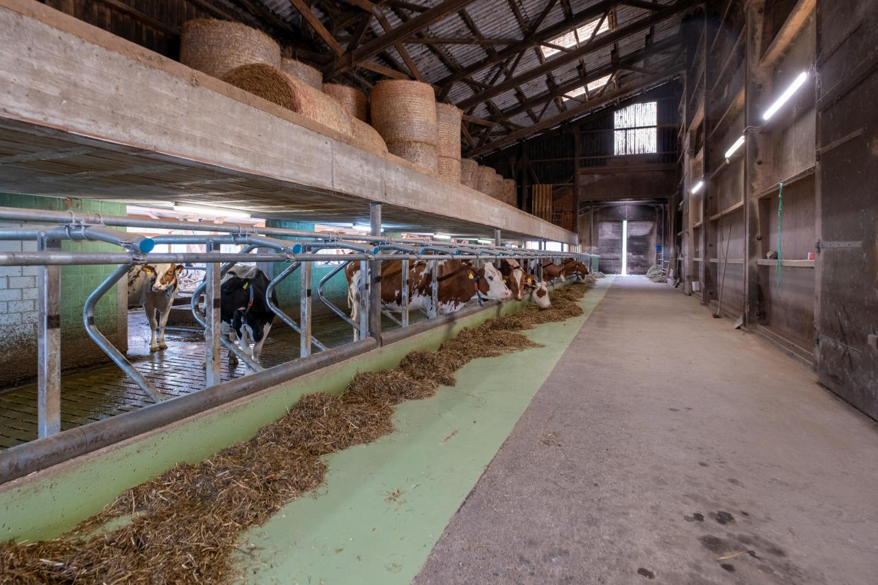 referenz-saemi-hochstrasser-9