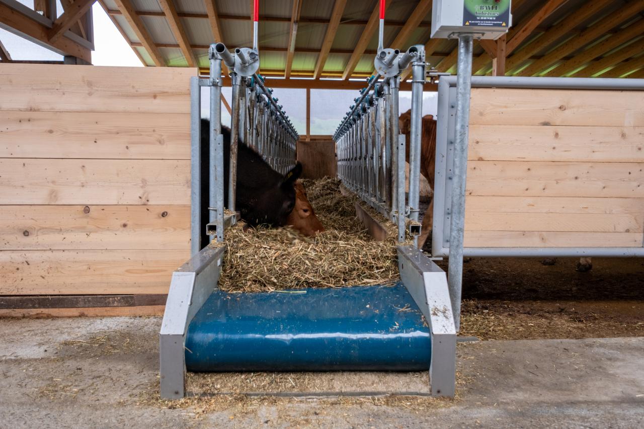 futterlaufband-referenz-bm-3