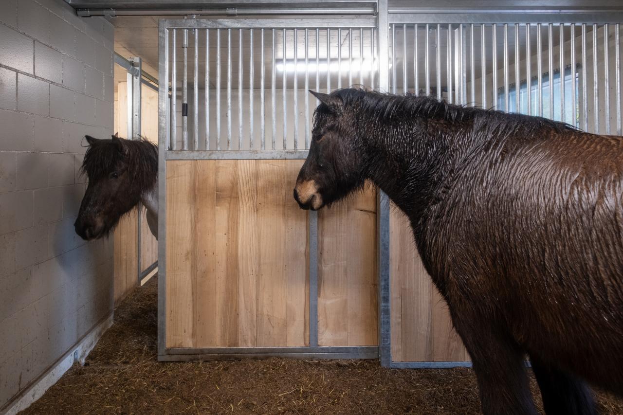 referenz-oberaargau-stallneubau-10