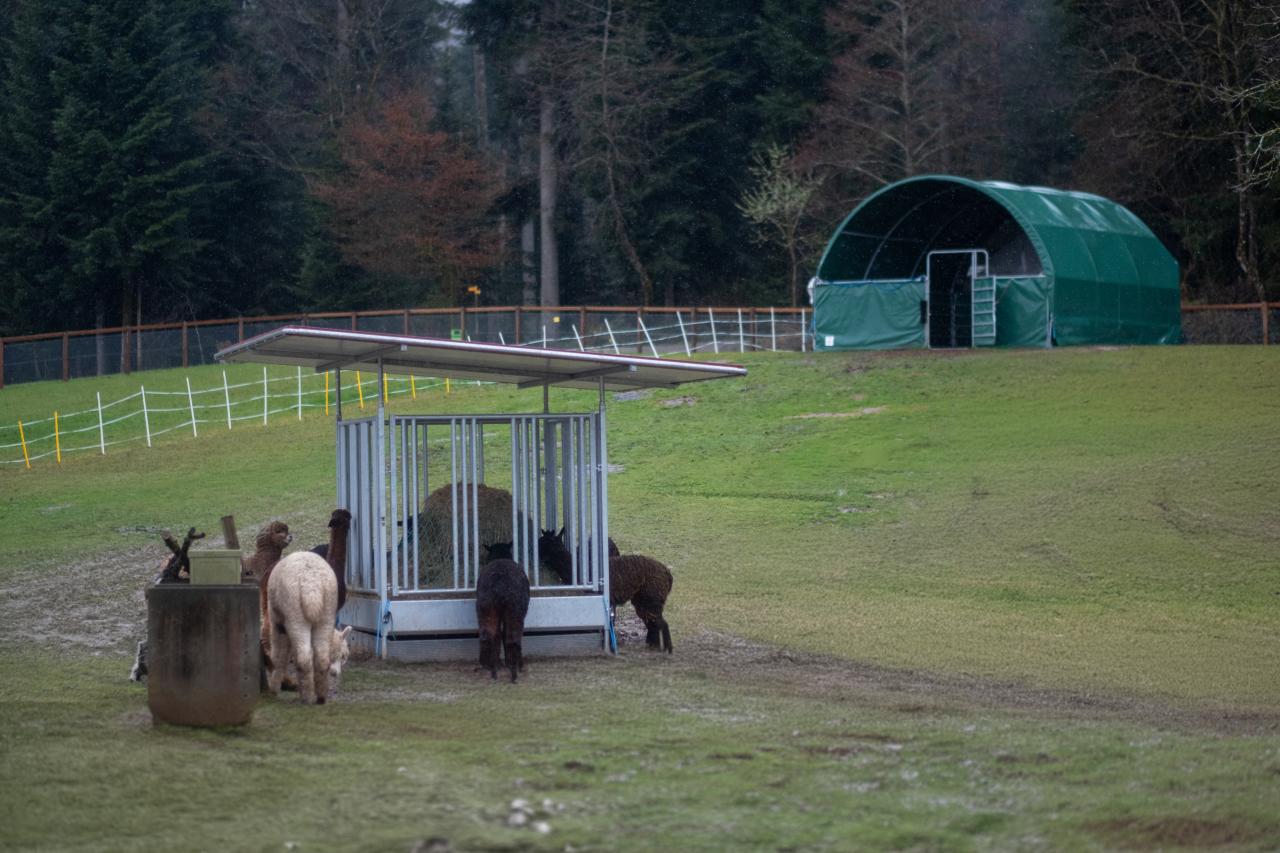referenz-oberaargau-stallneubau-12