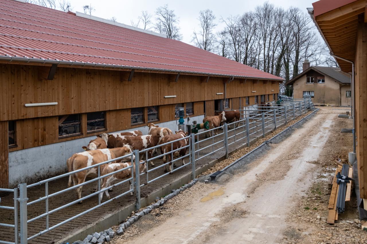 Vorbildlicher Stallneubau5