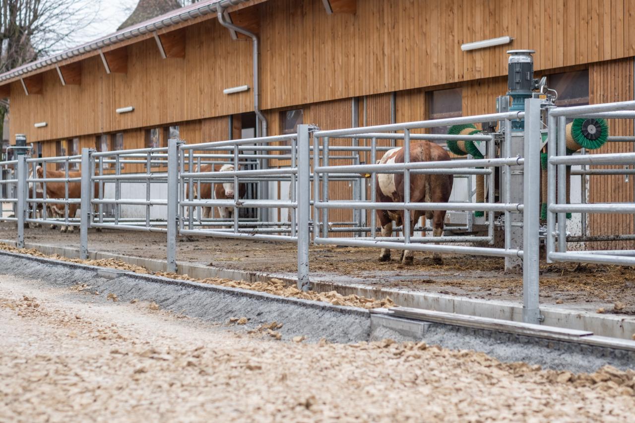 Vorbildlicher Stallneubau7