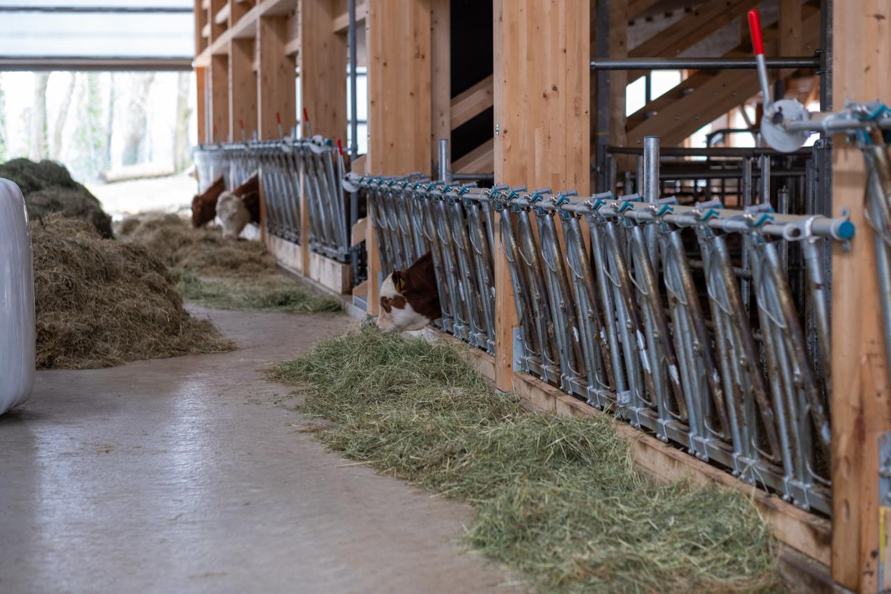 Vorbildlicher Stallneubau9