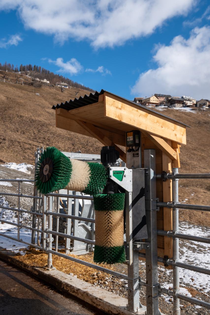 17998 Benjamin Prevost_Kratzbürste.jpg