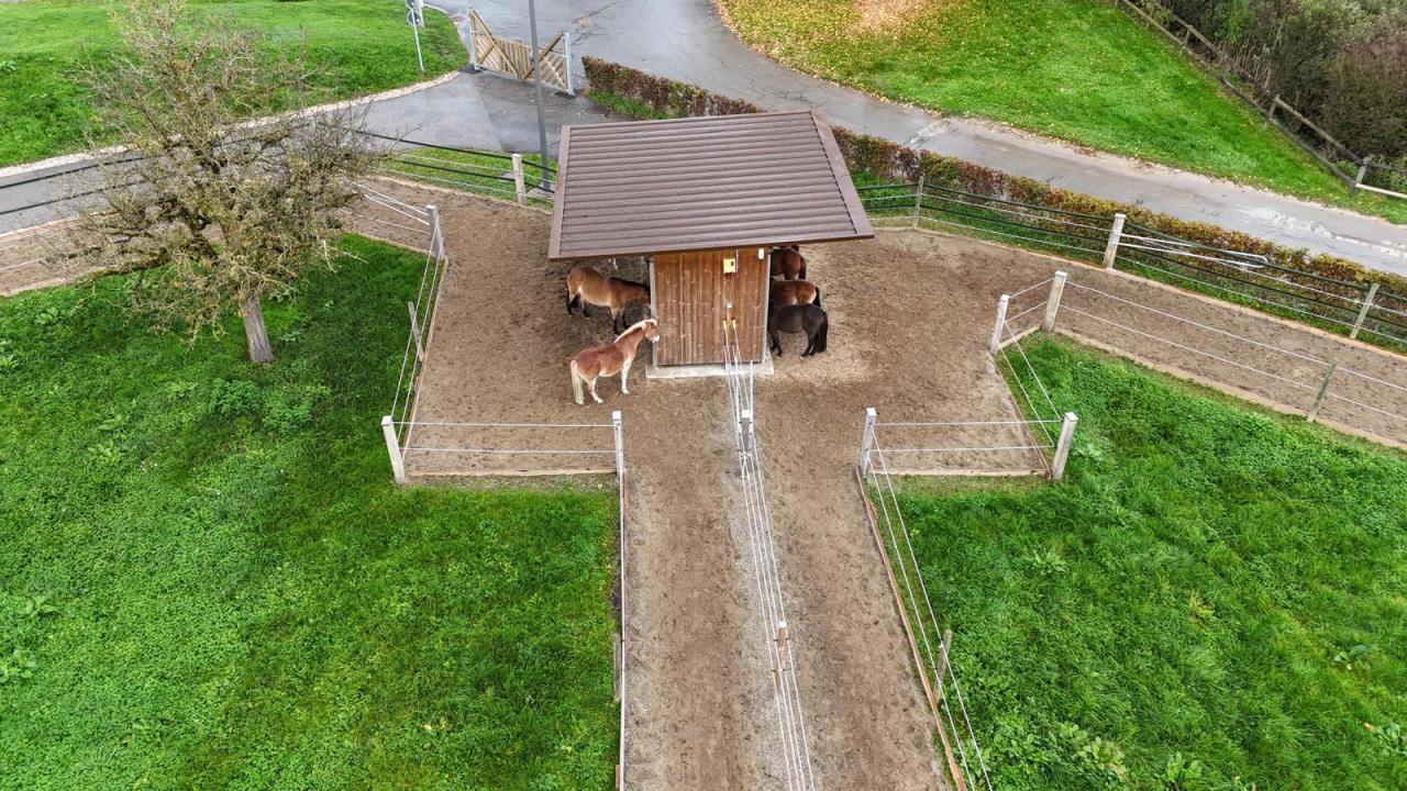 23107_pony-paradies-paddocktrail-drohne-1