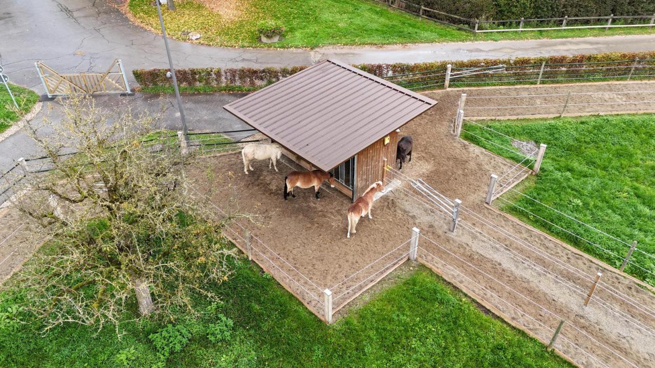 23107_pony-paradies-paddocktrail-drohne-3