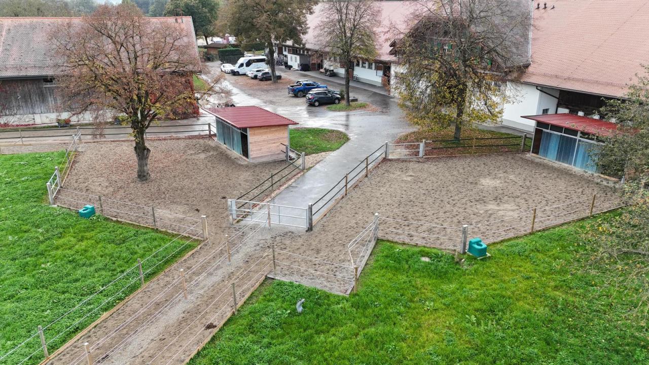 23107_pony-paradies-paddocktrail-drohne-4