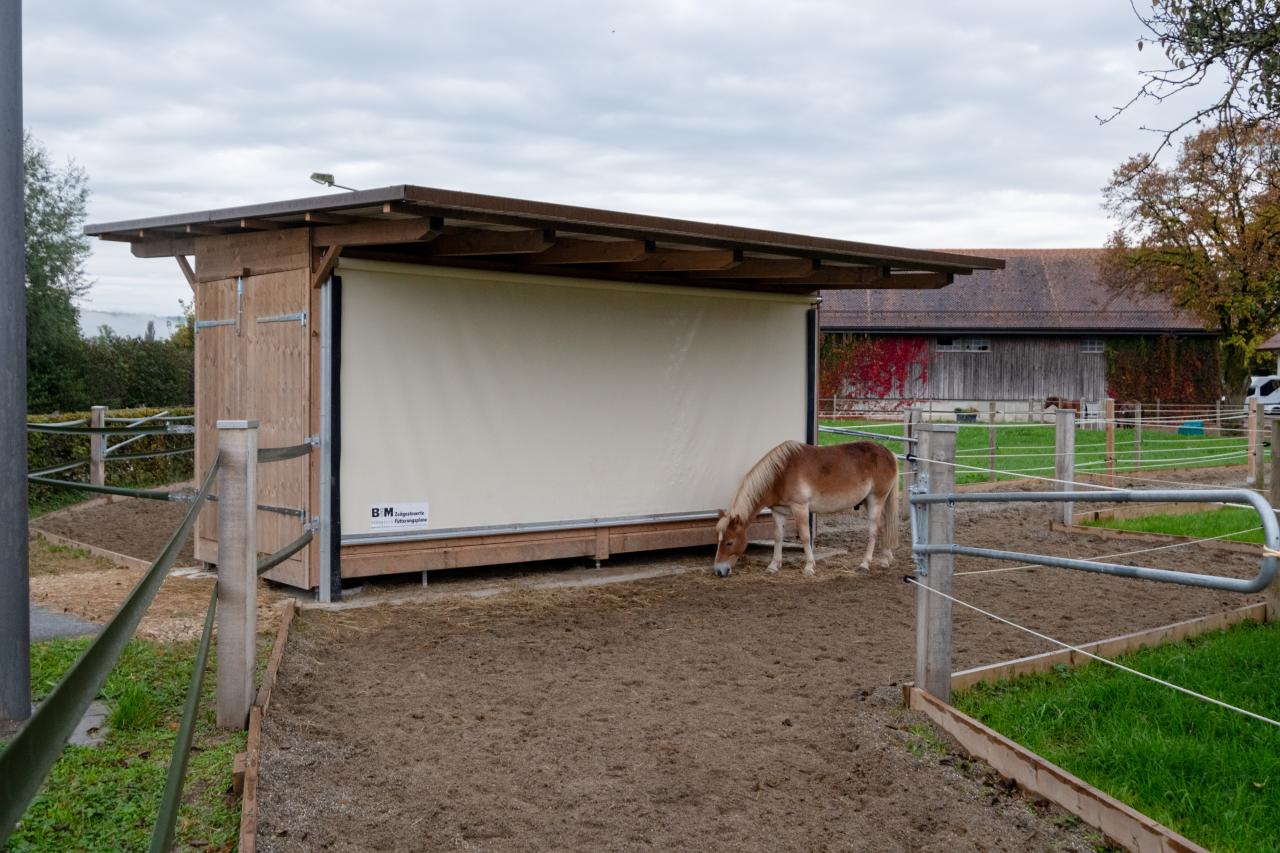 23107_pony-paradies-zeitgesteuerte-fütterungsplane-2