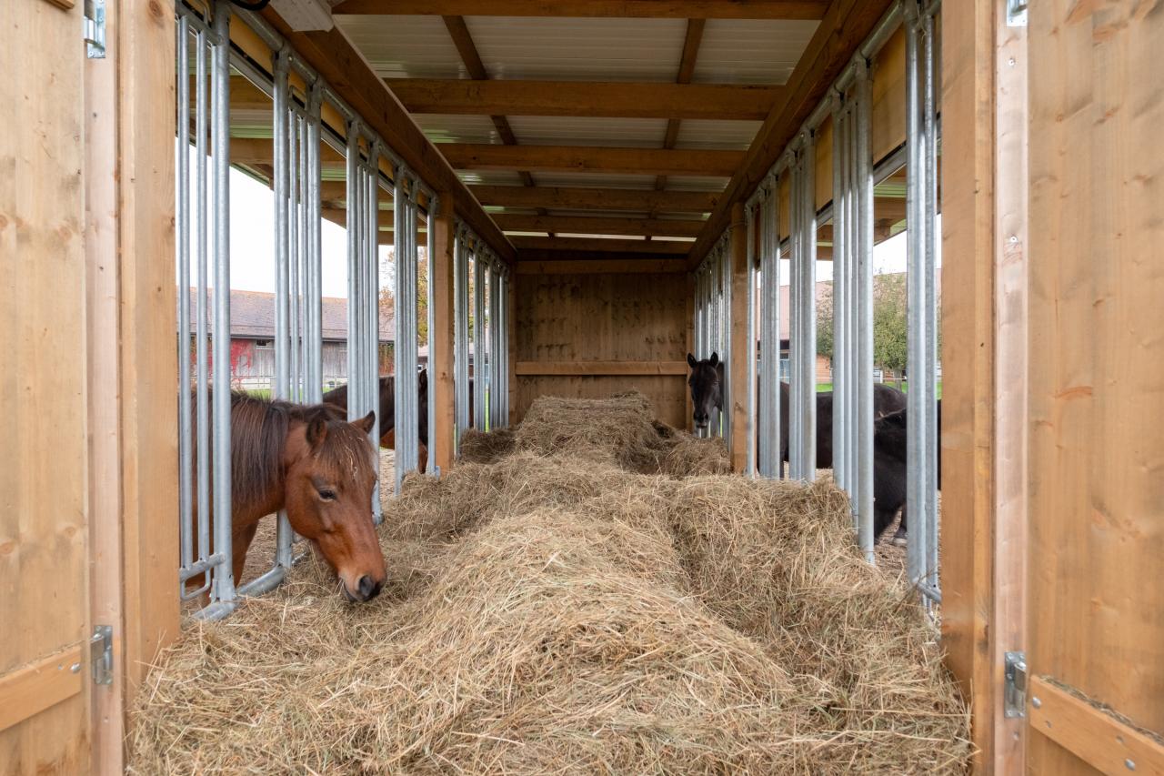 23107_pony-paradies-zeitgesteuerte-fütterungsplane-5