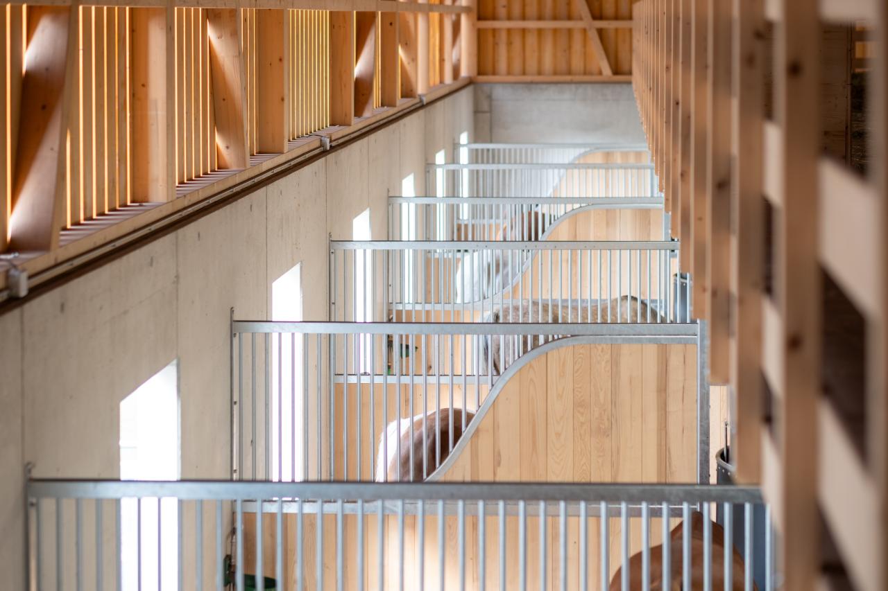 67812-christoph-steiner-pferdestall-boxen