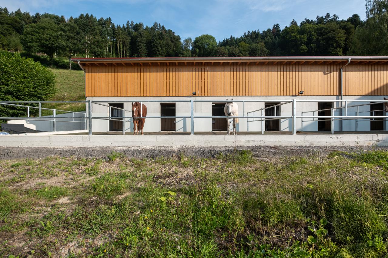 67812-christoph-steiner-pferdestall-neubau