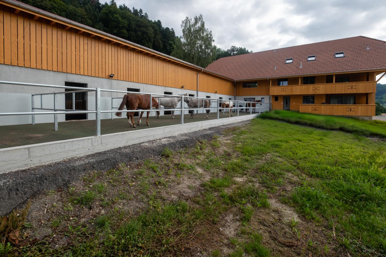 67812-christoph-steiner-pferdestall-paddock-mit-wohnhaus