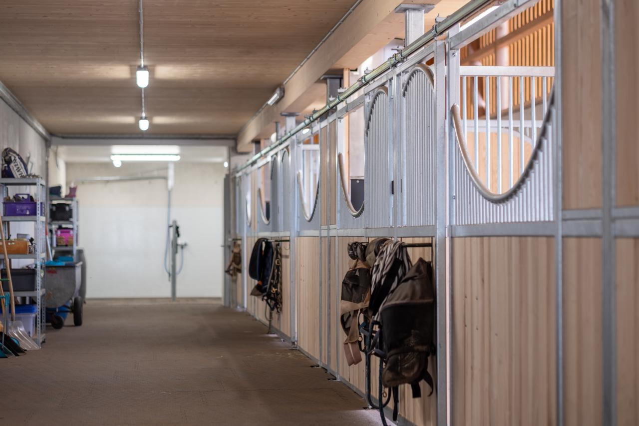 67812-christoph-steiner-pferdestall-stallgang