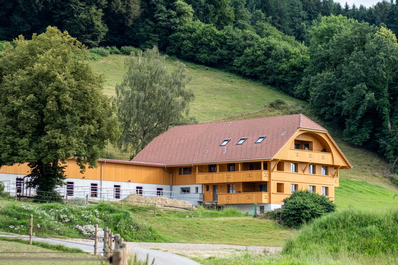 67812-christoph-steiner-pferdestall