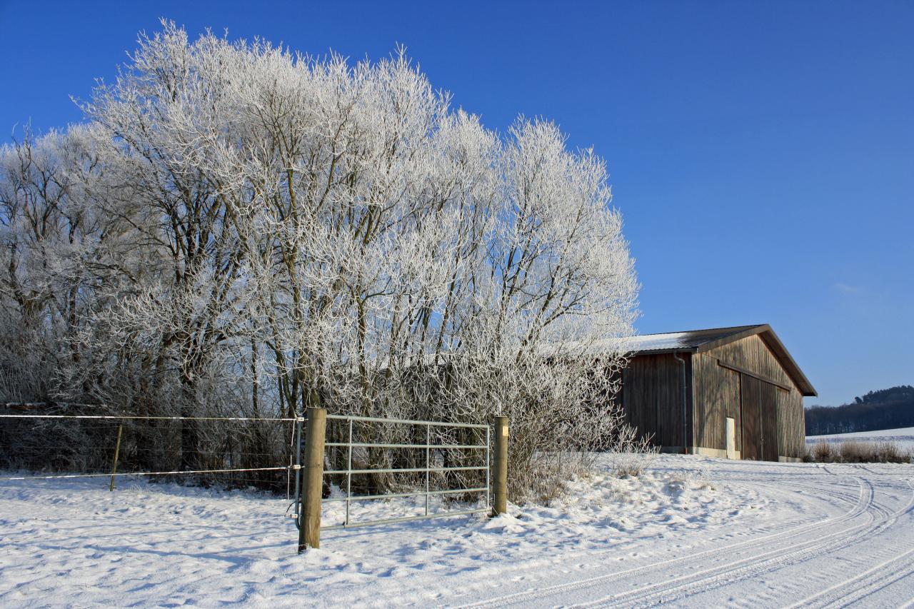 checkliste-wintervorbereitungen-schnee-landschaft
