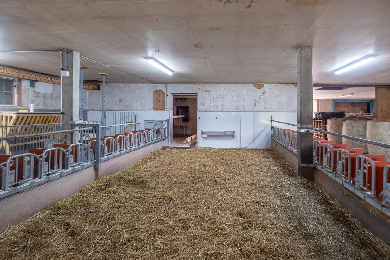 pius-kistler-referenz-ziegenstall-rundbogenfressgitter-piccolo eingestreut