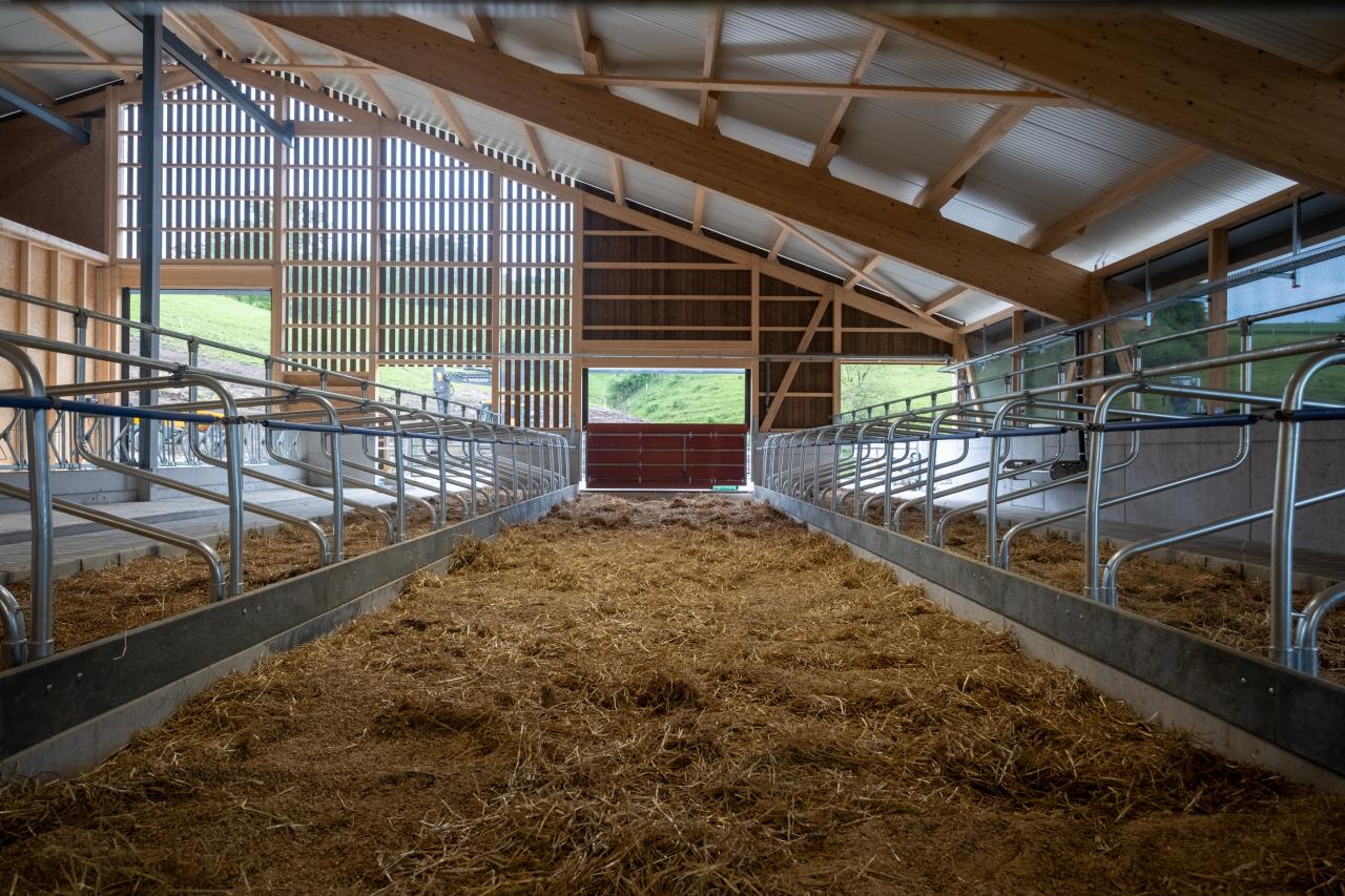 10455-pascal-ehrsam-liegeboxen-eingestreut-3