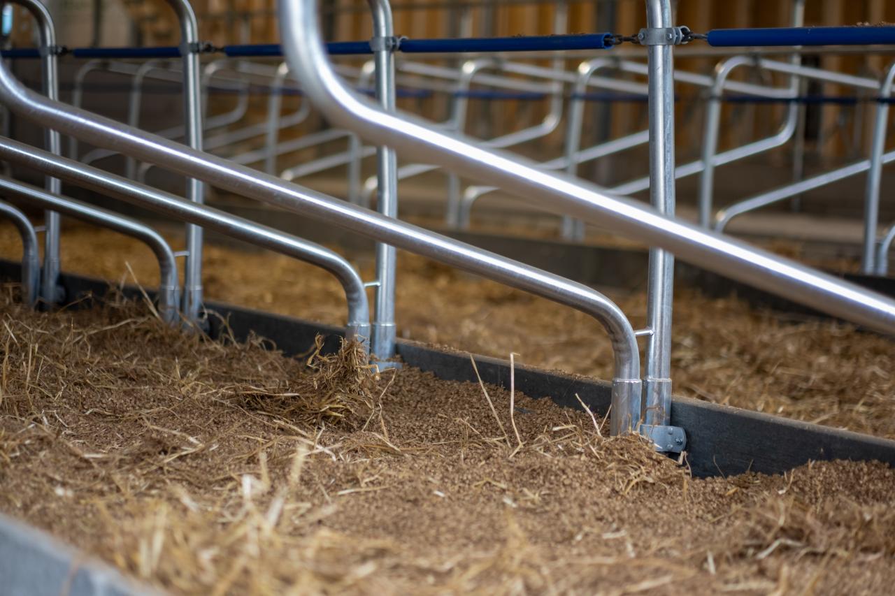 10455-pascal-ehrsam-liegeboxen-eingestreut-6