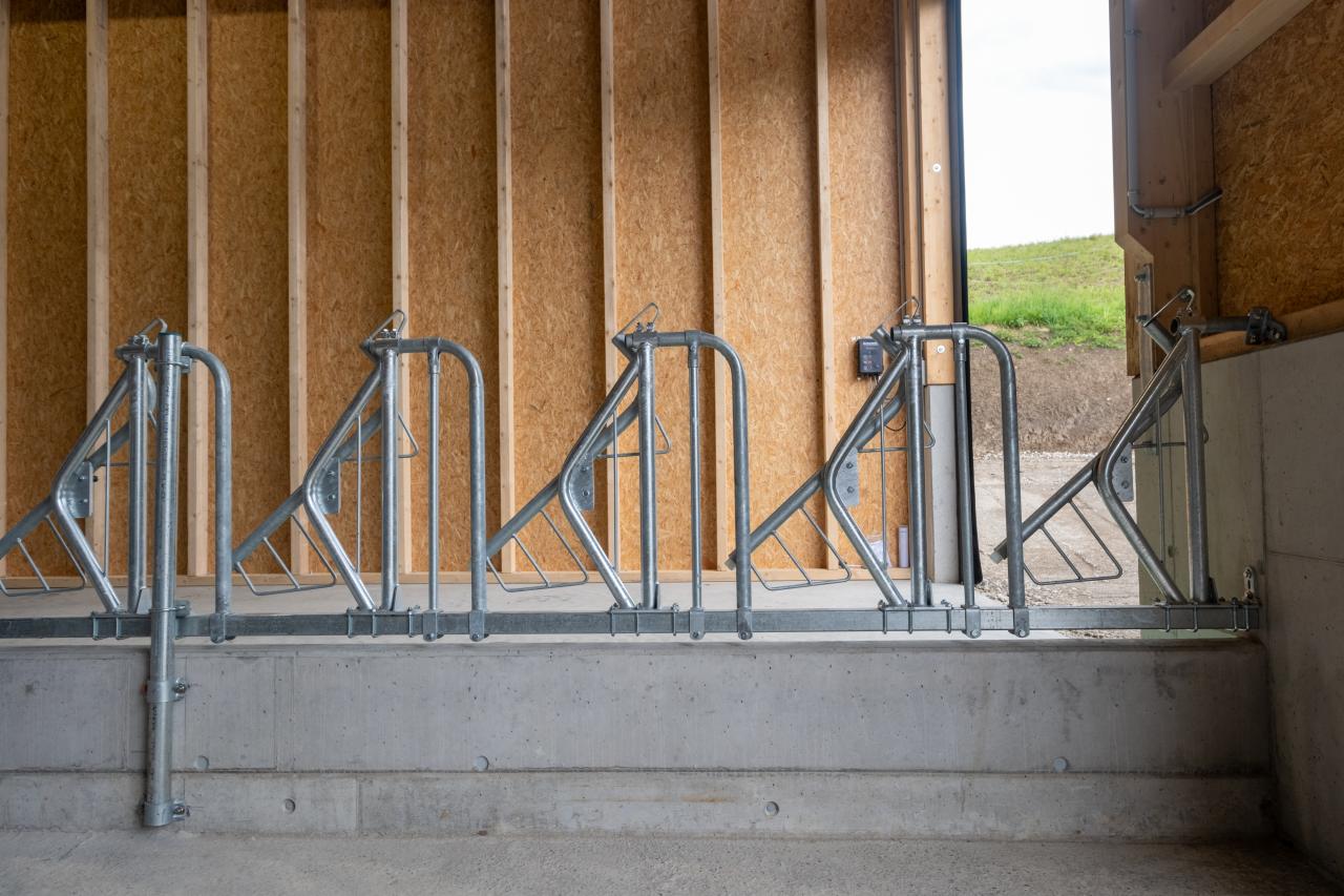 10455-pascal-ehrsam-rondo fressgitter-1.jpg