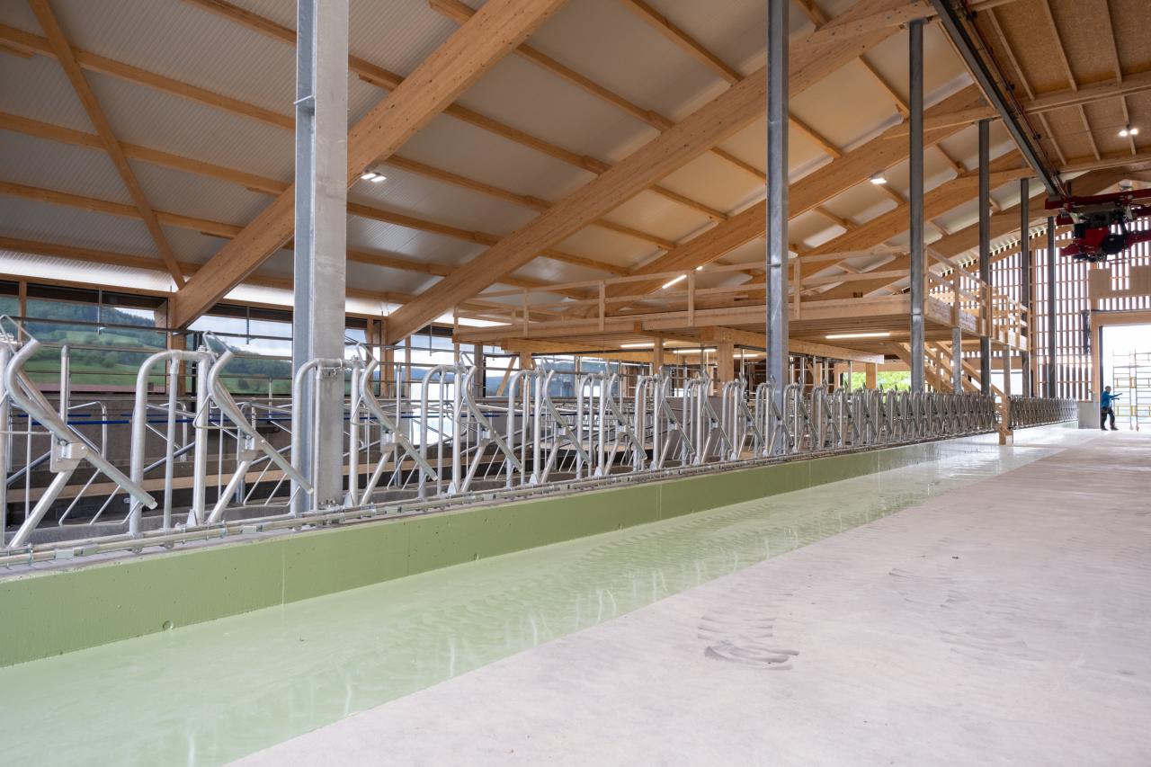 10455-pascal-ehrsam-rondo fressgitter-4.jpg