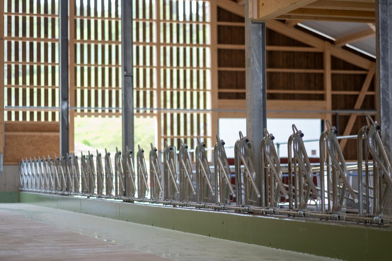 10455-pascal-ehrsam-rondo fressgitter-7.jpg