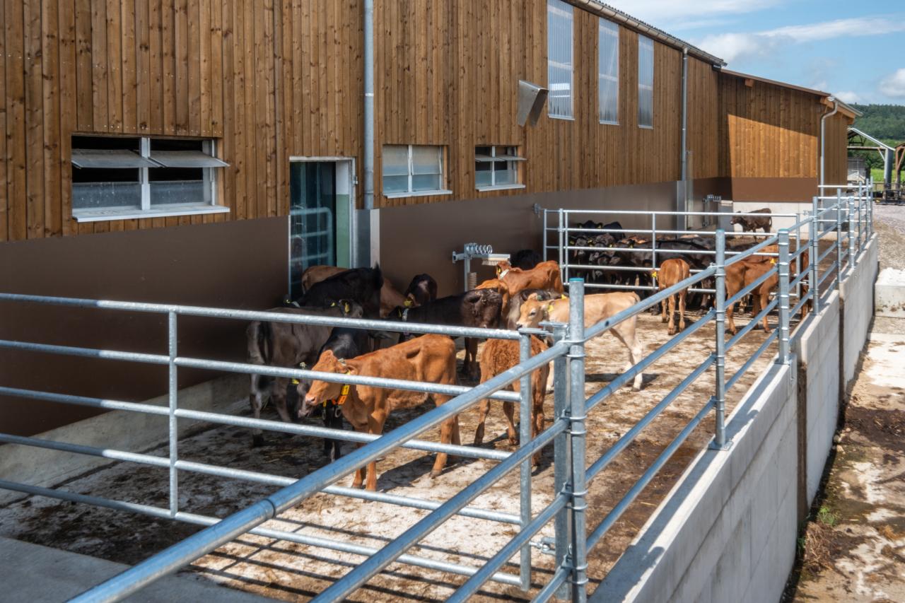 65889_Sven und Daniela Hauenstein-abtrennungen-2.jpg