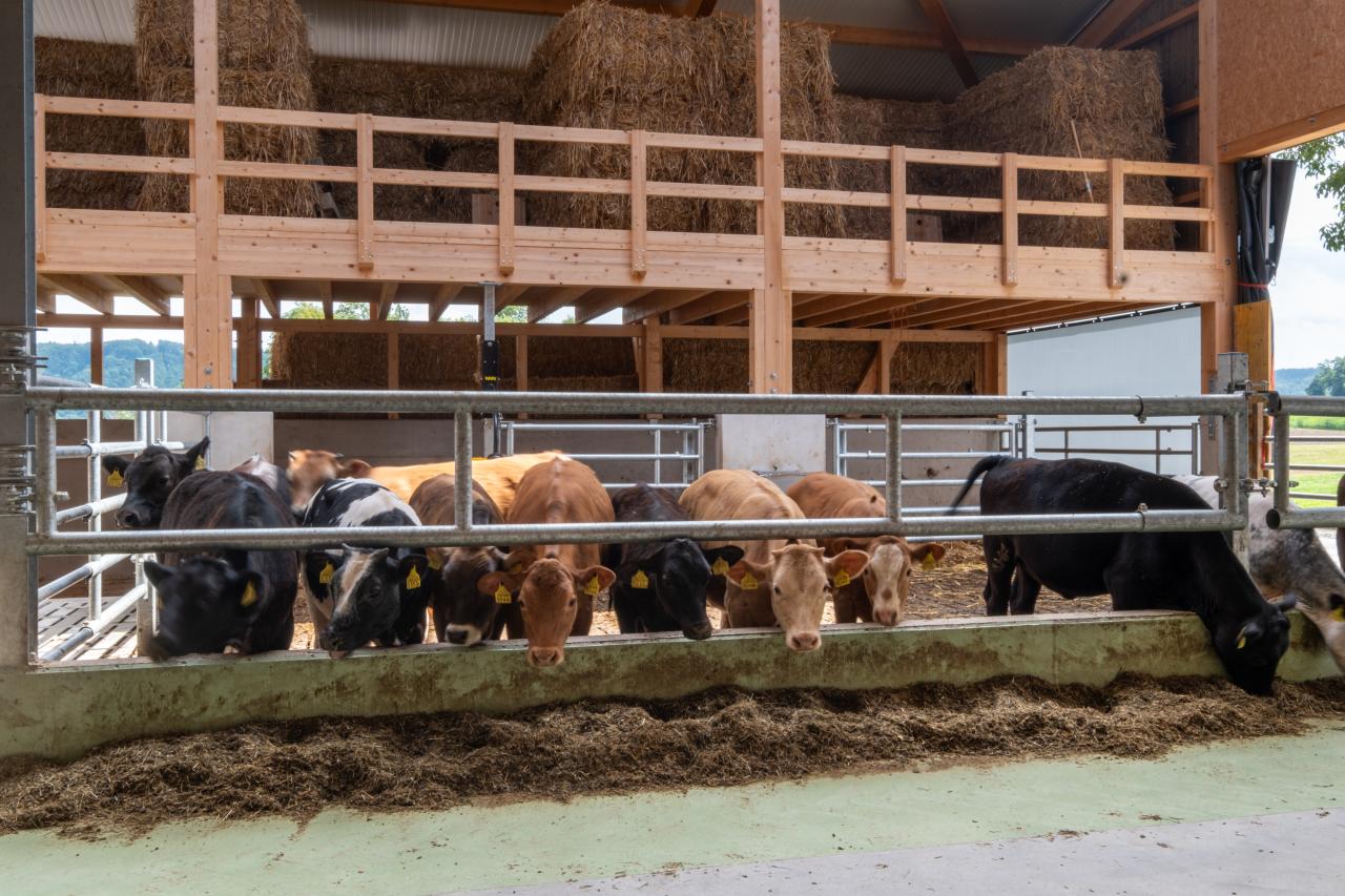 65889_Sven und Daniela Hauenstein-nackenrohr-3.jpg