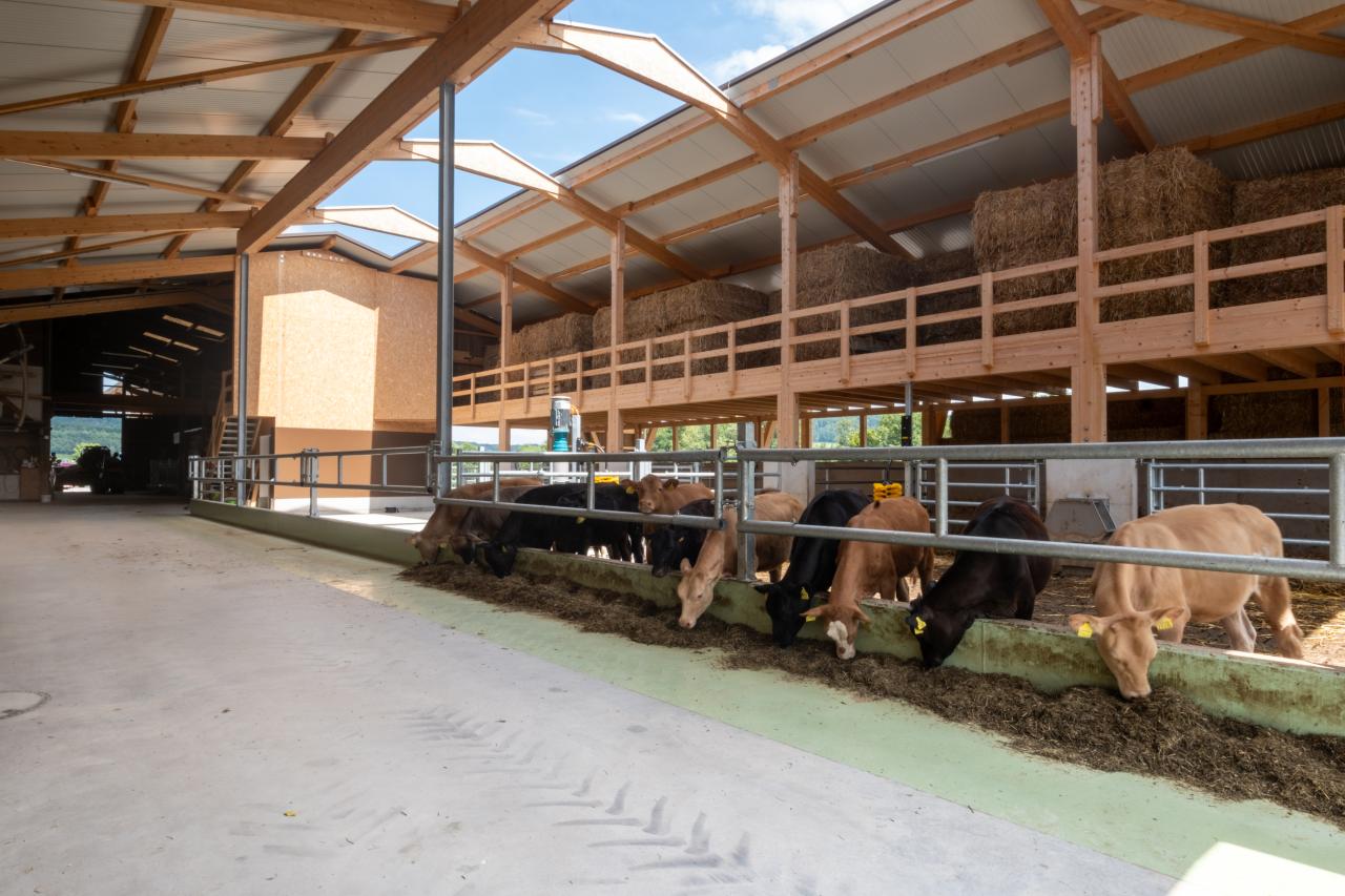 65889_Sven und Daniela Hauenstein-nackenrohr-4.jpg