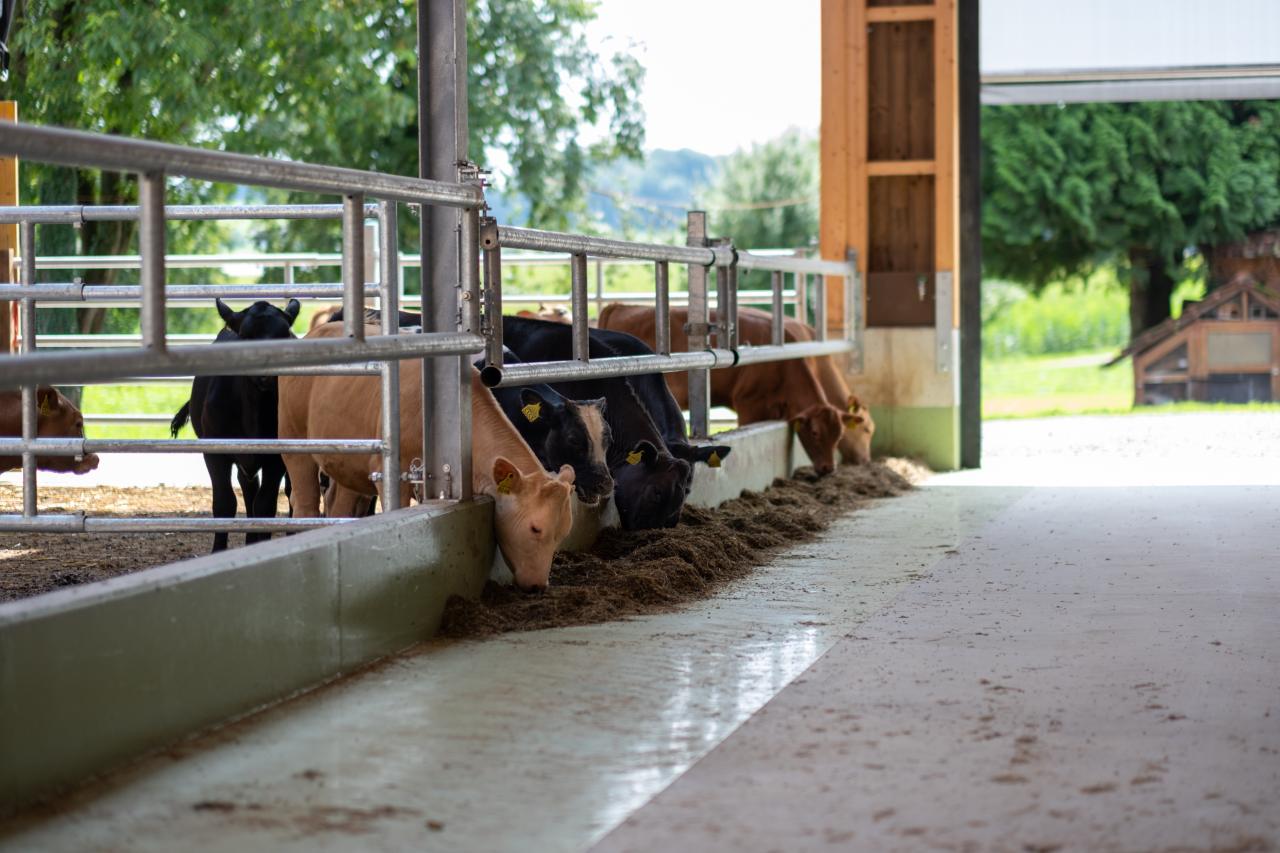 65889_Sven und Daniela Hauenstein-nackenrohr-5.jpg